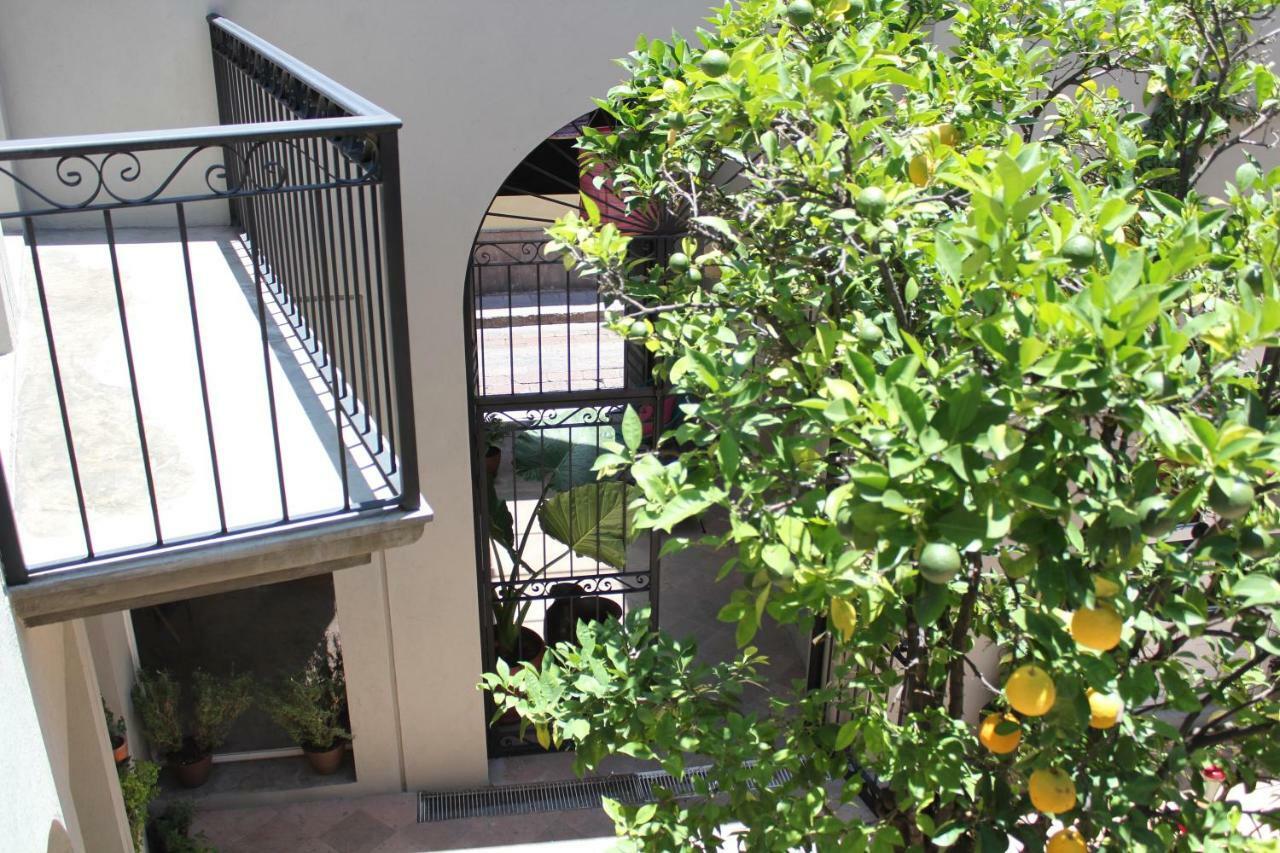 Hotel Mama Carlota Querétaro Eksteriør billede